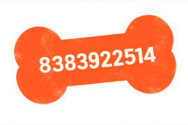 contact number https://prateekkashyap.com/wp-content/uploads/2019/08/image-e1779088616395.png